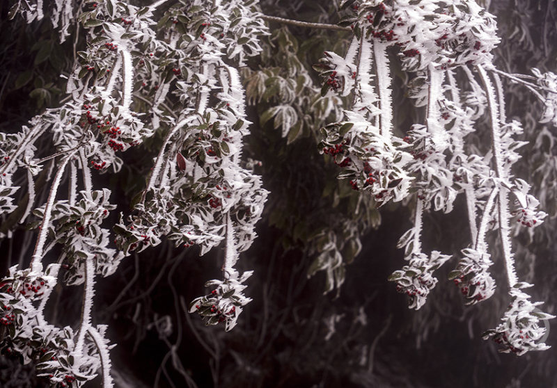 精品视频久久国产成人海报