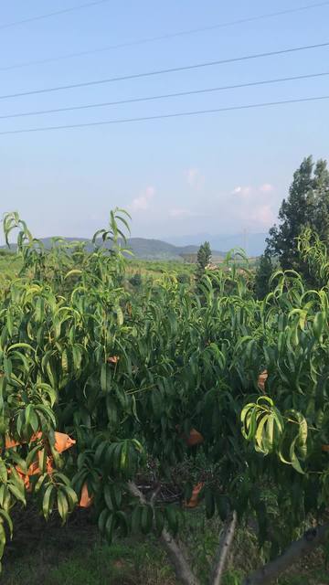 国产精品精品一区二区三区海报