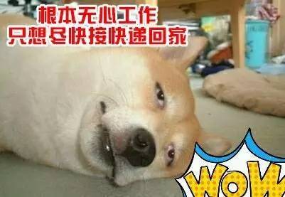 乱码中字芒果视频一二三多人 还自己做乱码艺术展示海报