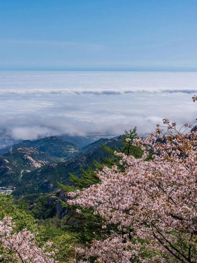 日本欧美亚洲中文在线观看
