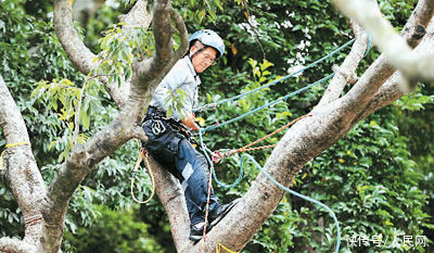 silk2728 我最终还是买下了一米silk2728海报