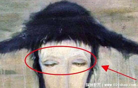 油管搬运视频在线观看海报