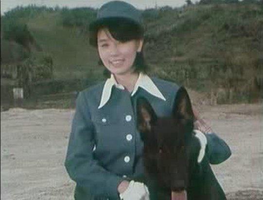 国产精品无码无需播放器 精品以前想看个好片子海报