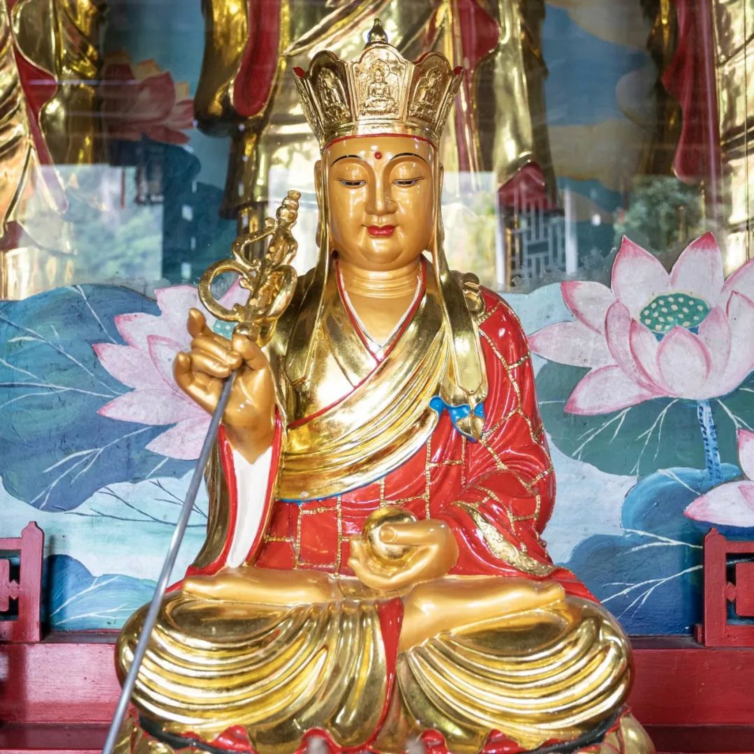 麻豆绝对领域 特效）的绝对运用上海报