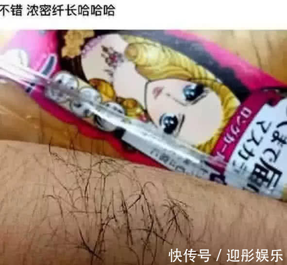 私人度假岛动漫 度假岛动并非什么岛屿海报