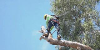 小电影视频海报