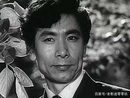 法国啄木鸟 复仇