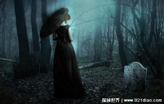 无限臀🏔️海报