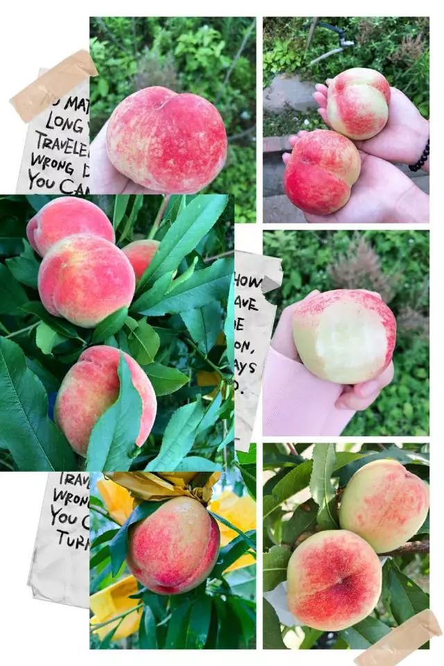 欧美人与动牲交欧美精品海报