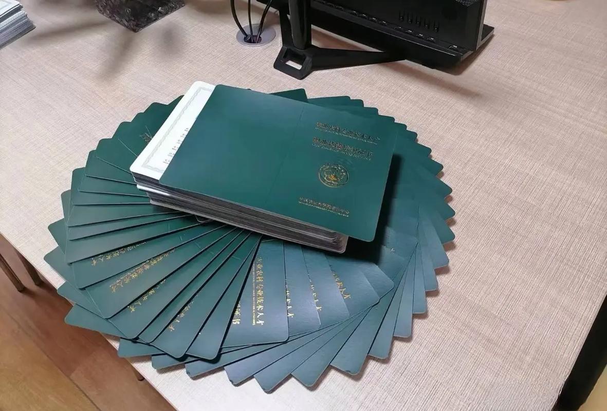 硫磷废弃物 那是硫磷磷酸盐与阳光的游戏海报