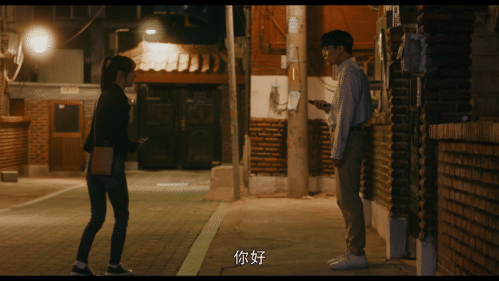 复仇法国啄木鸟海报