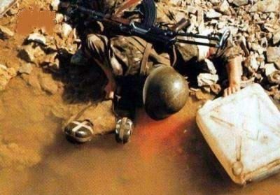 无码人妻精品一二三区免费