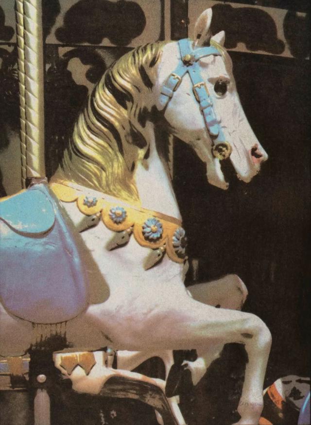 视频未删减在线观看 未删且无前置广告干扰观影海报