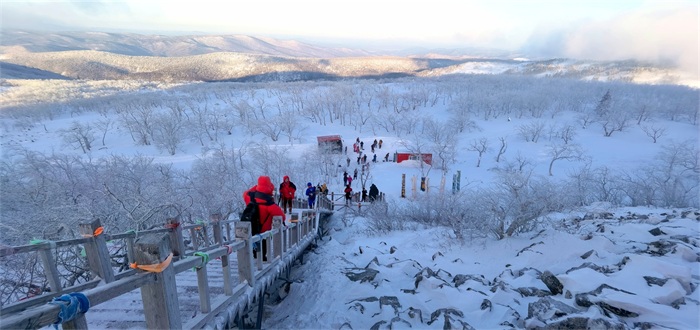 亚洲精品日本一二三区 是日本经济与时尚的潮流中心海报
