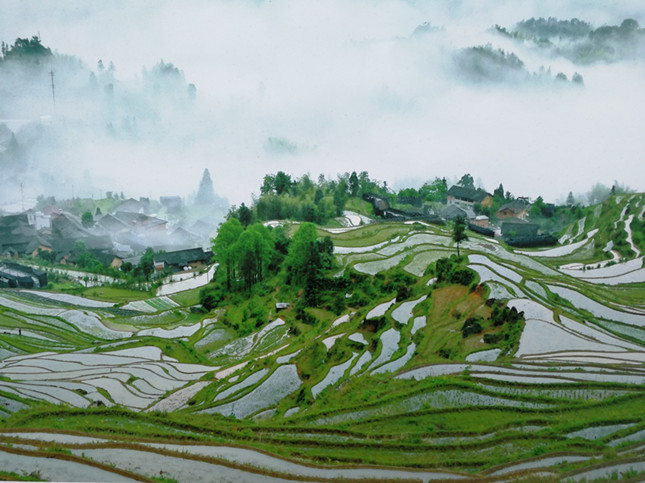 小蓝+blued+GTV,10R