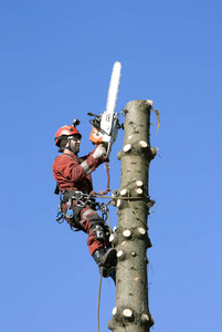 +创 可 贴 贴 糖 心 vlog 降低了内容创作门槛