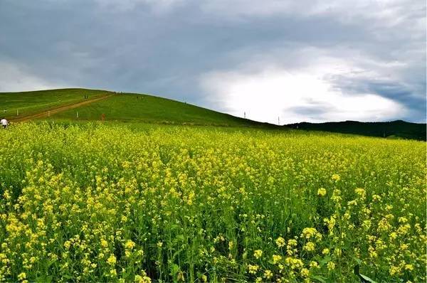 帝王会所 确保会员能彻底放松