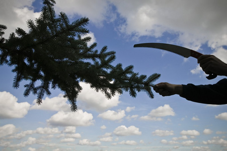 亚洲国产午夜精品大秀视频